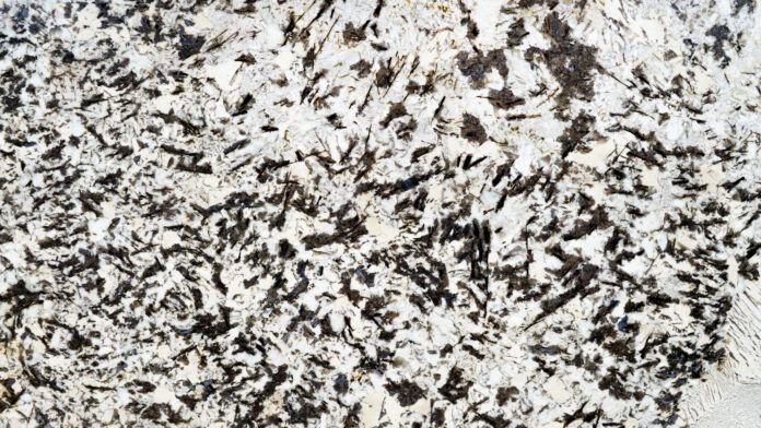 Montana White - 3