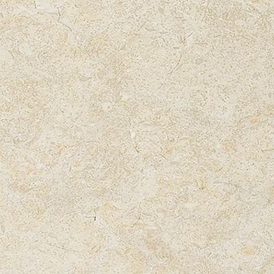 Seashell Limestone